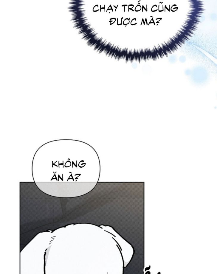 ĐỪNG CHẠM VÀO CÚN CON CỦA TÔI Chap 4 - Trang 4