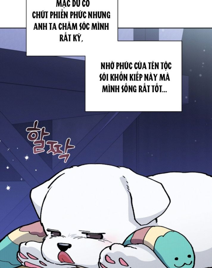 ĐỪNG CHẠM VÀO CÚN CON CỦA TÔI Chap 6 - Trang 4