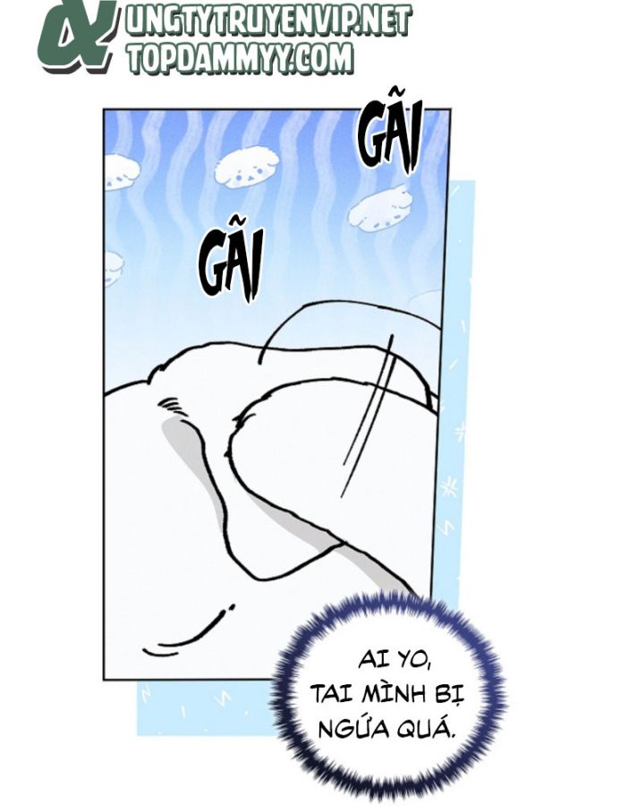 ĐỪNG CHẠM VÀO CÚN CON CỦA TÔI Chap 6 - Trang 4