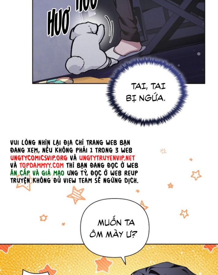 ĐỪNG CHẠM VÀO CÚN CON CỦA TÔI Chap 6 - Trang 4