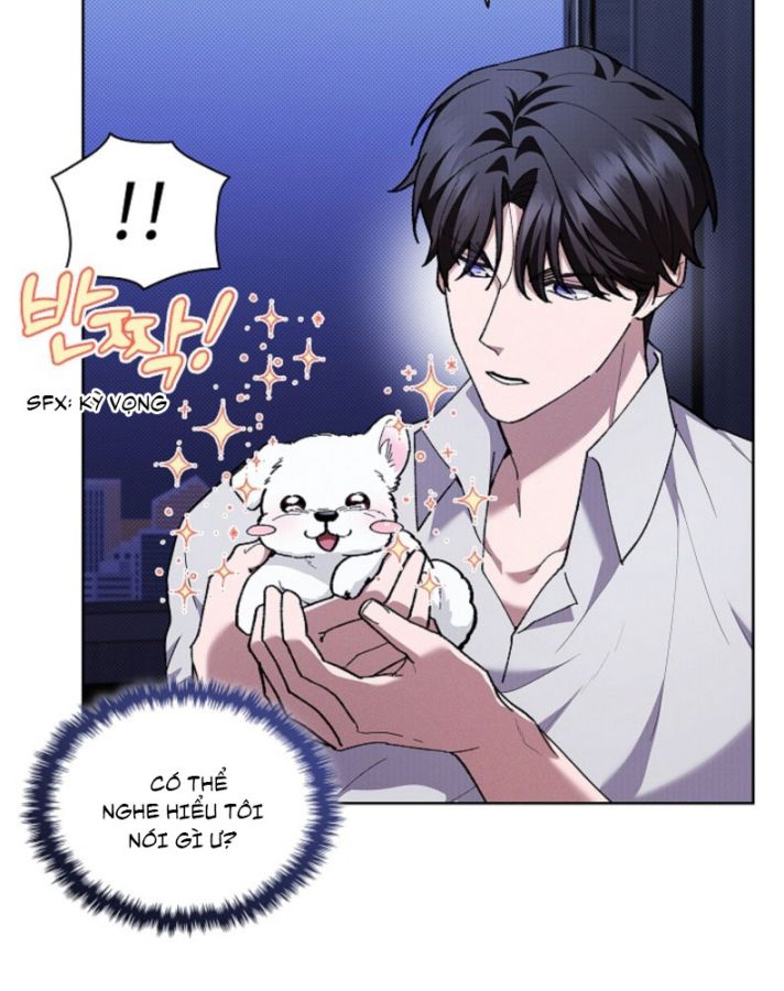 ĐỪNG CHẠM VÀO CÚN CON CỦA TÔI Chap 6 - Trang 4