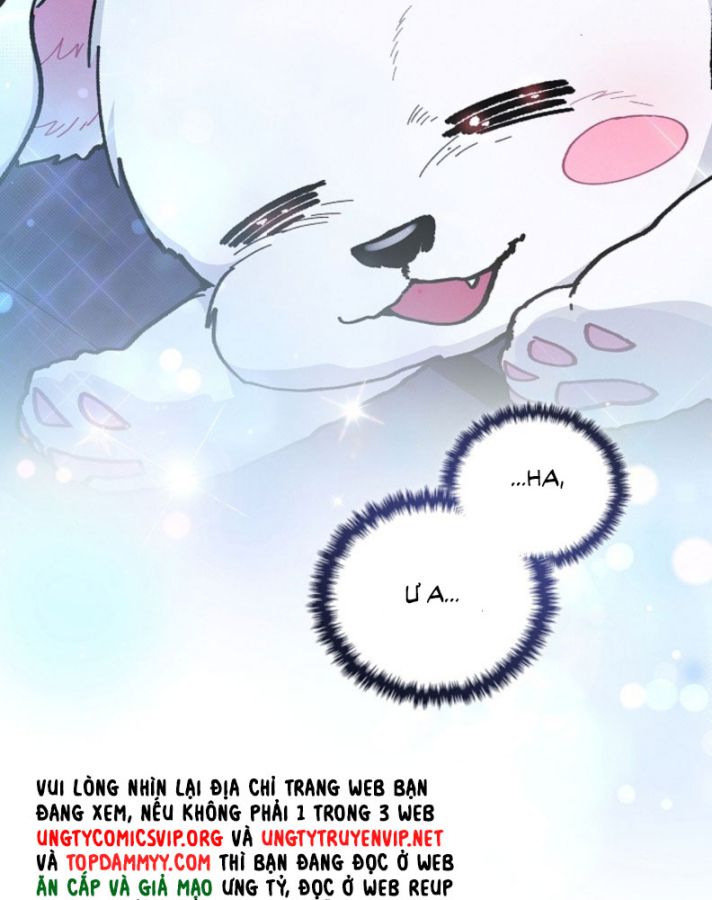 ĐỪNG CHẠM VÀO CÚN CON CỦA TÔI Chap 6 - Trang 4