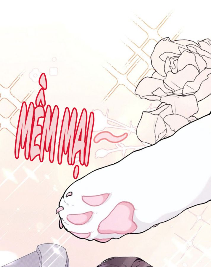 ĐỪNG CHẠM VÀO CÚN CON CỦA TÔI Chap 6 - Trang 4