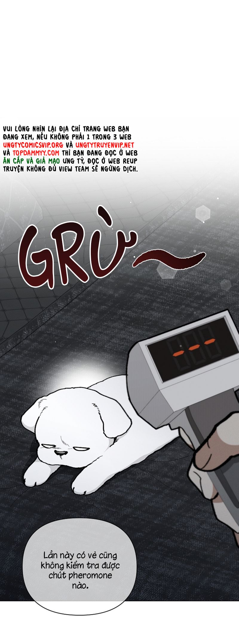 ĐỪNG CHẠM VÀO CÚN CON CỦA TÔI Chap 7 - Trang 4