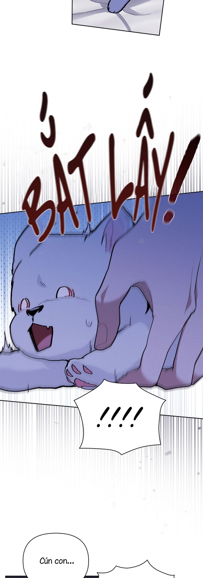 ĐỪNG CHẠM VÀO CÚN CON CỦA TÔI Chap 7 - Trang 4