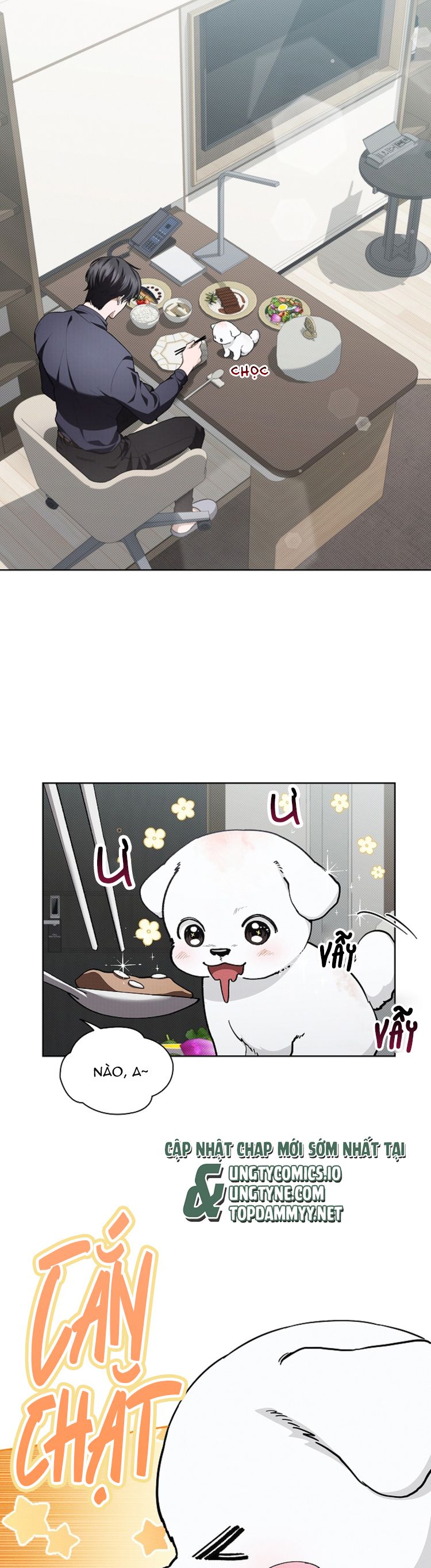 ĐỪNG CHẠM VÀO CÚN CON CỦA TÔI Chap 12 - Trang 4