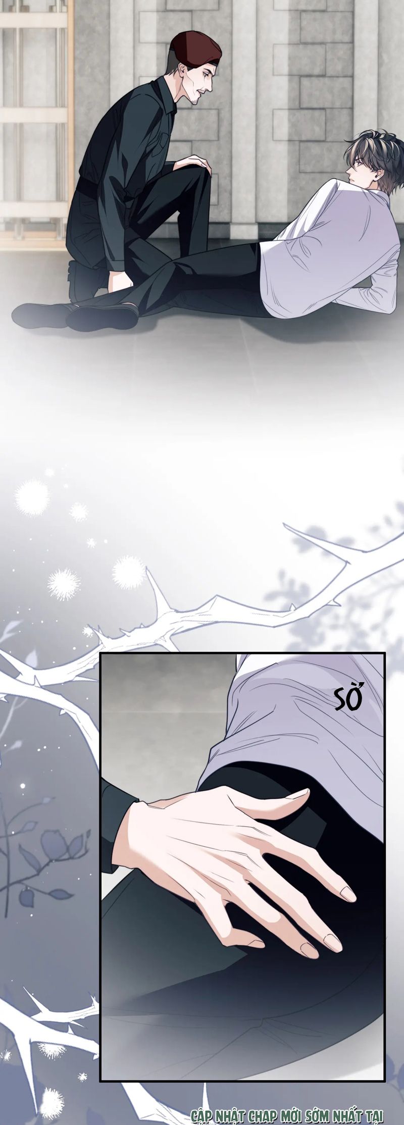 Desharow Nhân Ngư Chapter 67 - Trang 4