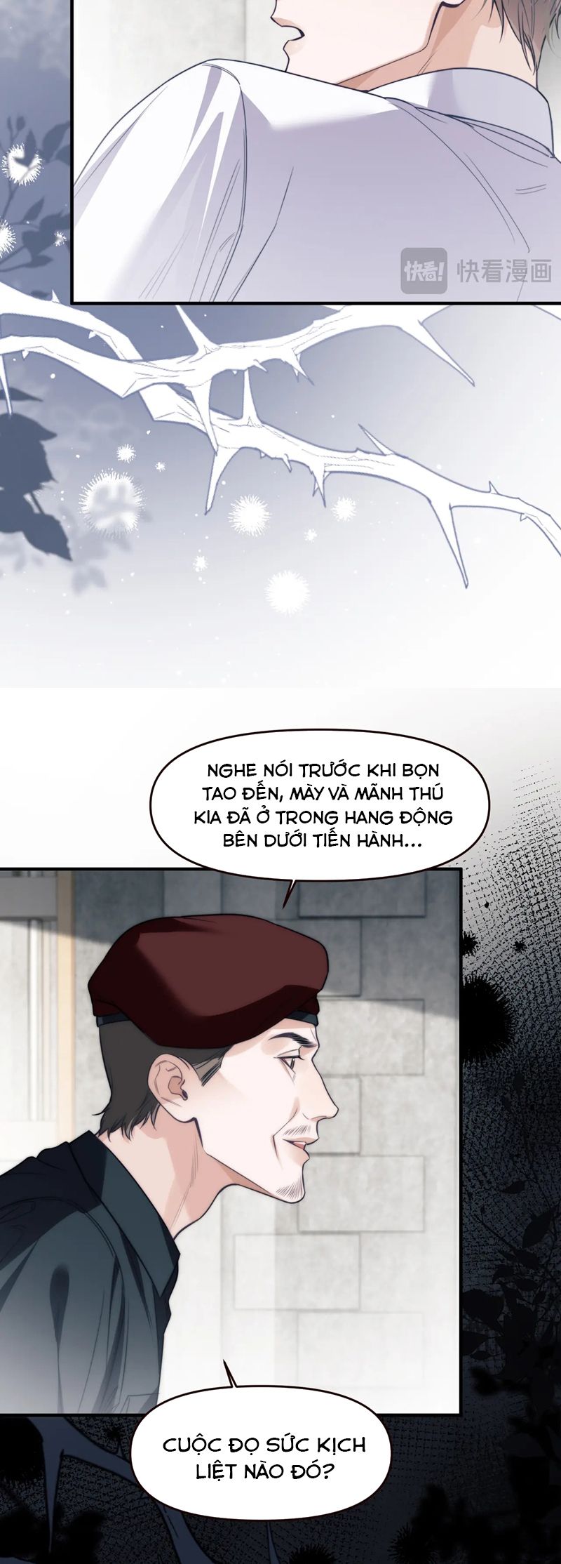 Desharow Nhân Ngư Chapter 67 - Trang 4