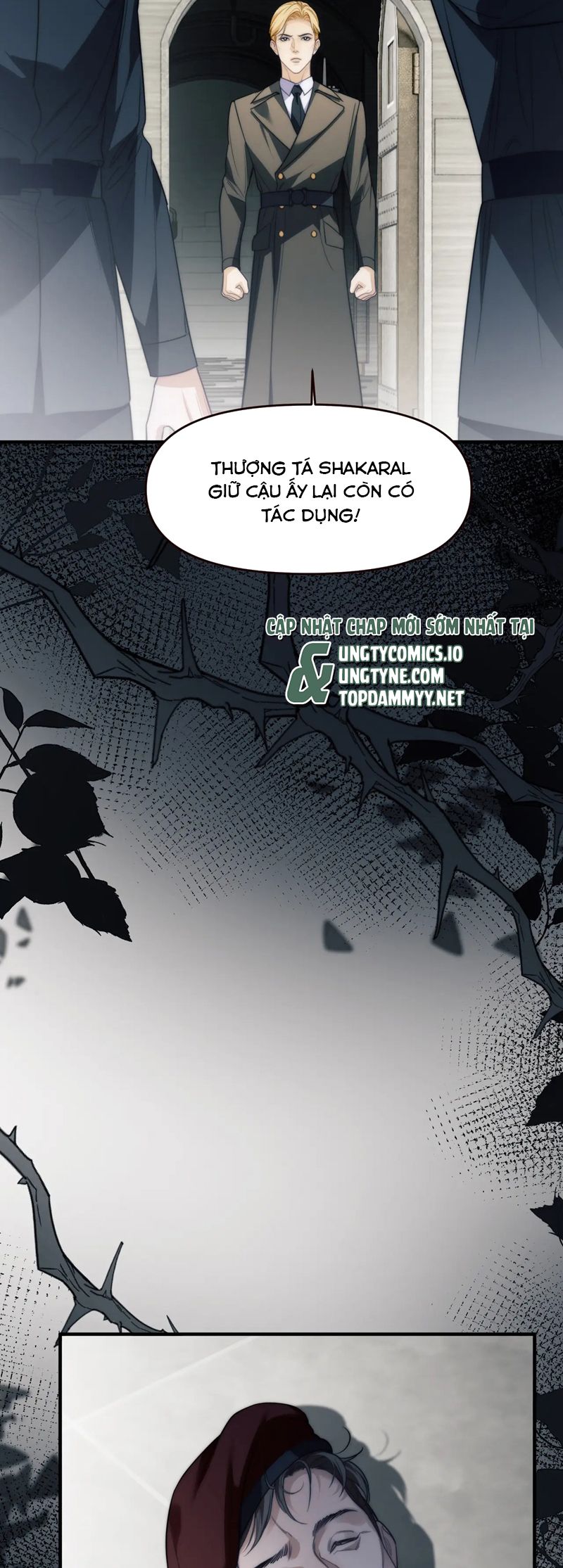 Desharow Nhân Ngư Chapter 67 - Trang 4