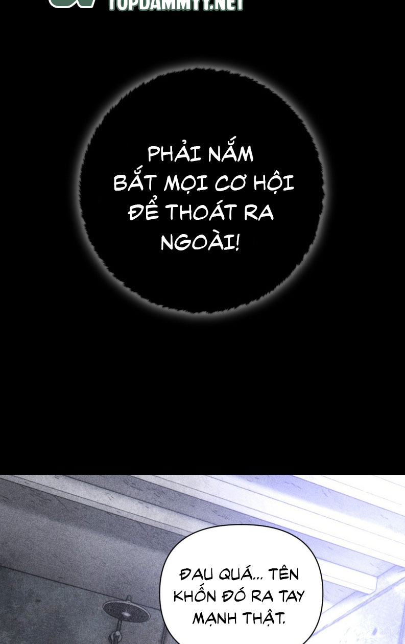 Chạy Trốn Khỏi Tầng Hầm Chap 1 - Trang 4