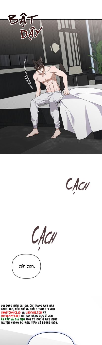 ĐỪNG CHẠM VÀO CÚN CON CỦA TÔI Chap 14 - Trang 4