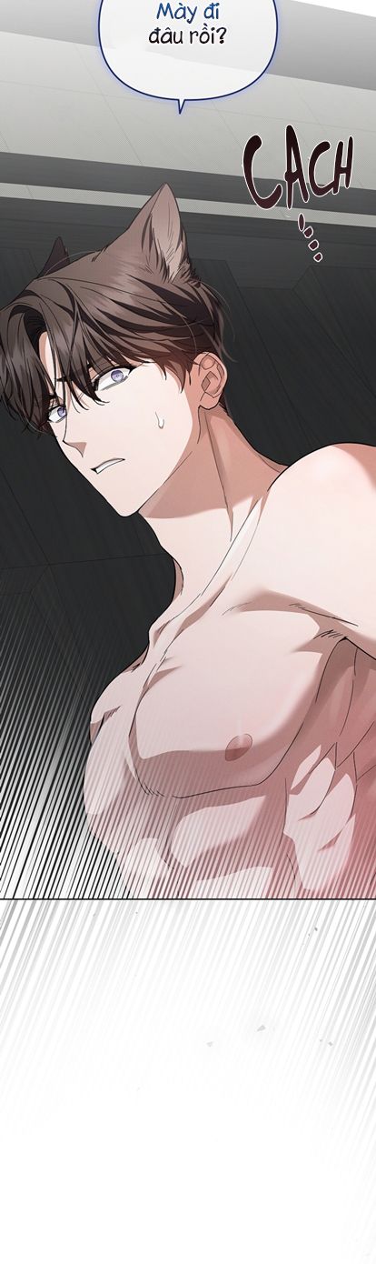 ĐỪNG CHẠM VÀO CÚN CON CỦA TÔI Chap 14 - Trang 4