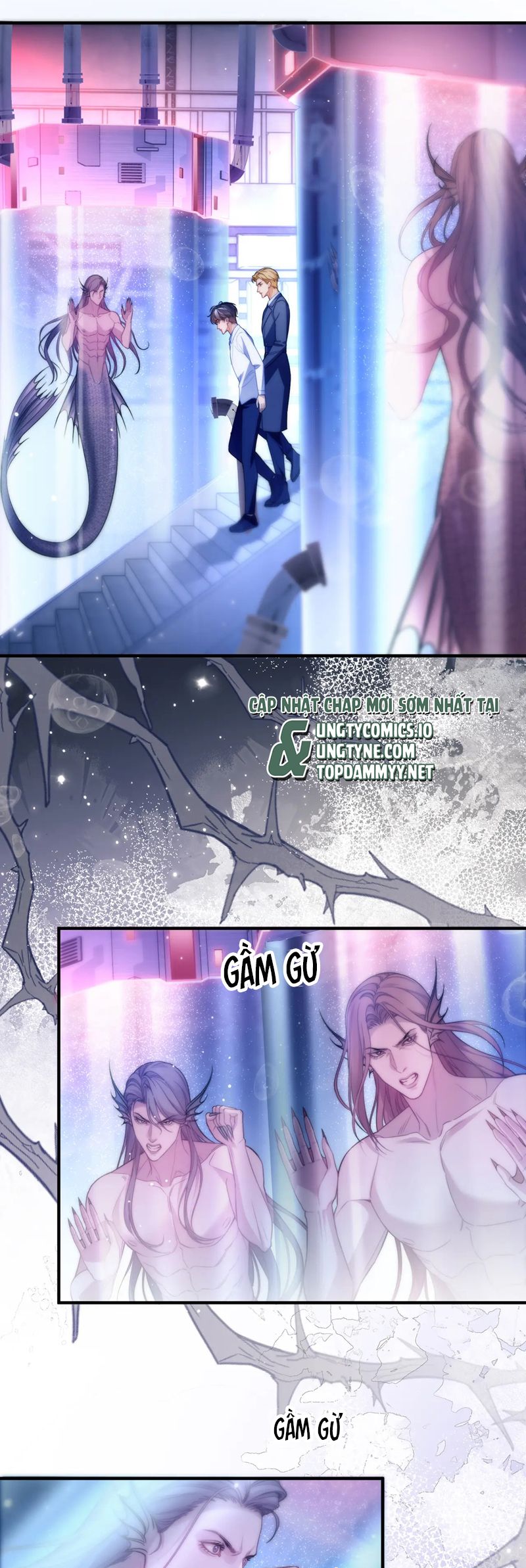 Desharow Nhân Ngư Chapter 68 - Trang 4