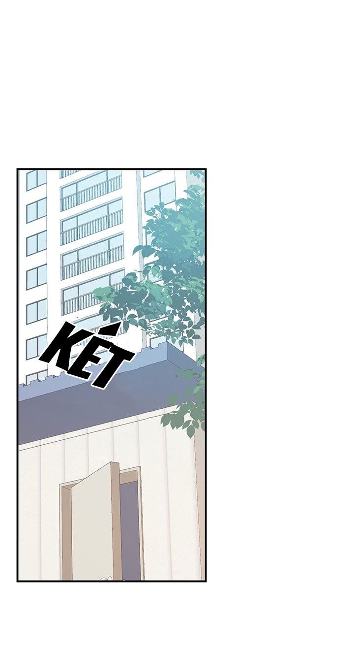 Nhật Ký Quan Sát Bồ Công Anh Chap 3 - Trang 2