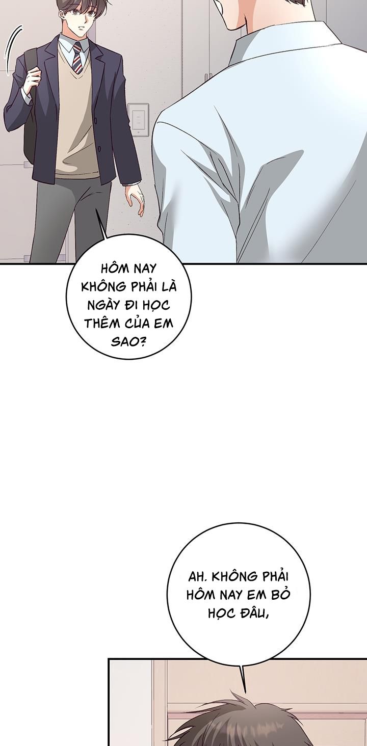 Nhật Ký Quan Sát Bồ Công Anh Chap 6 - Trang 2