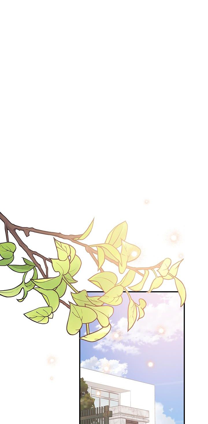 Nhật Ký Quan Sát Bồ Công Anh Chap 6 - Trang 2