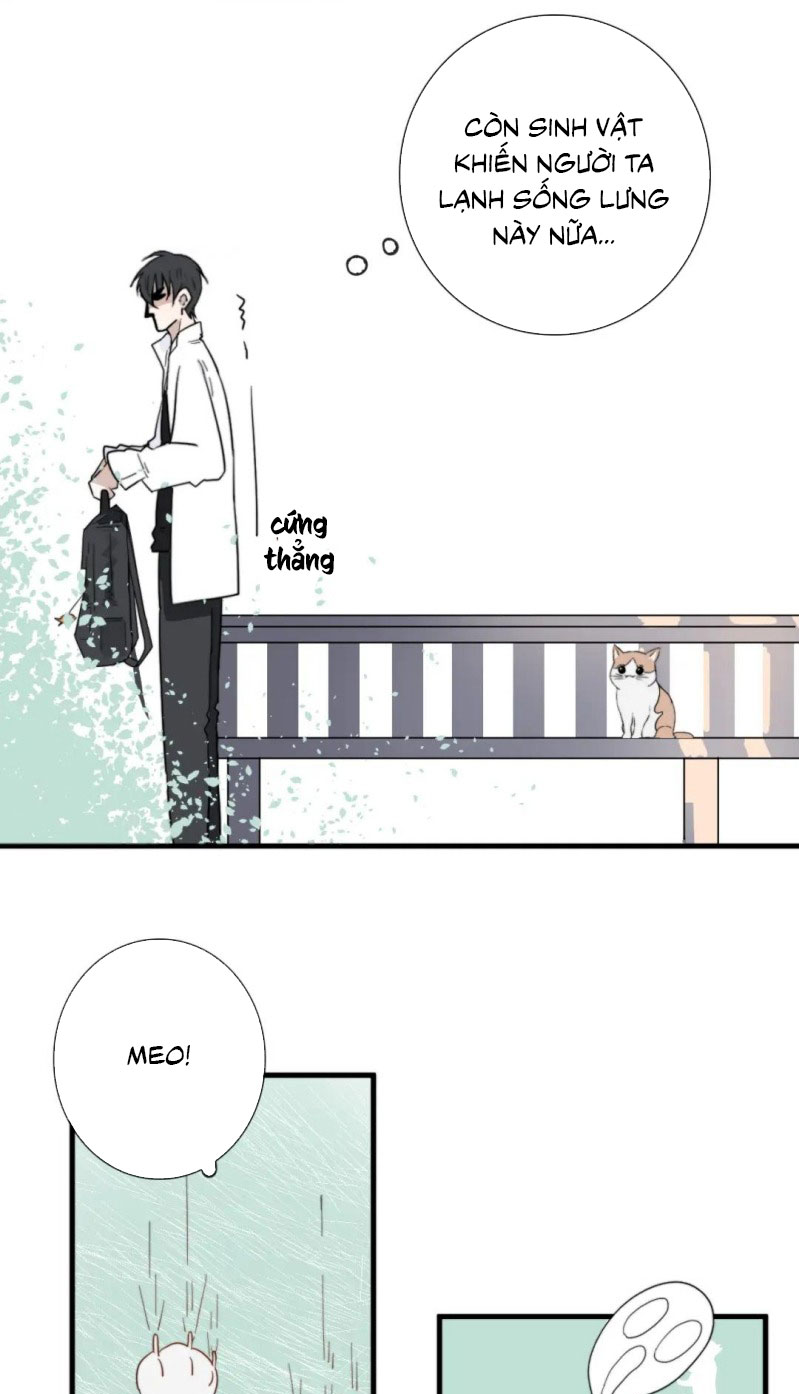 Nhiệm Vụ Này Muốn Mạng Mà Chap 4 - Next Chap 5