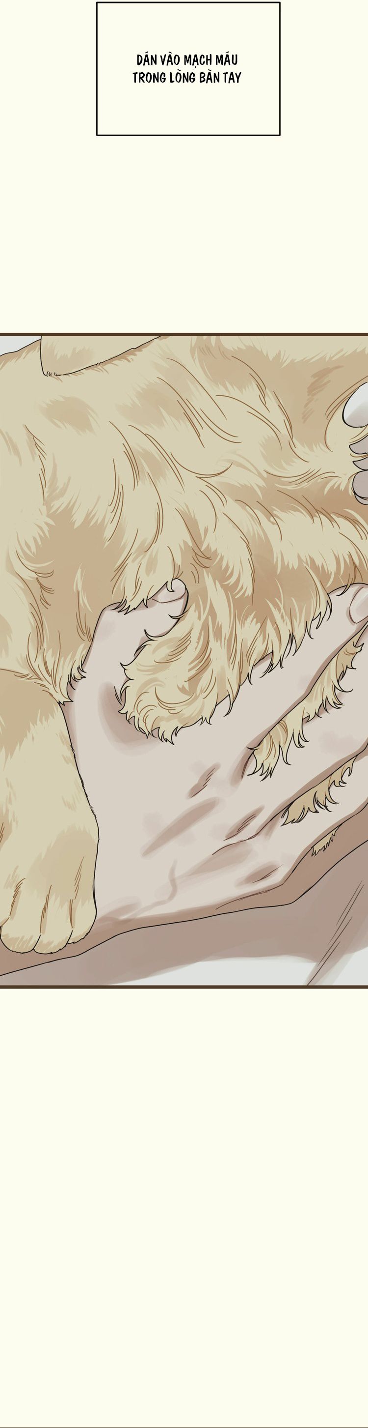 Tương Phùng Chapter 18 - Trang 3