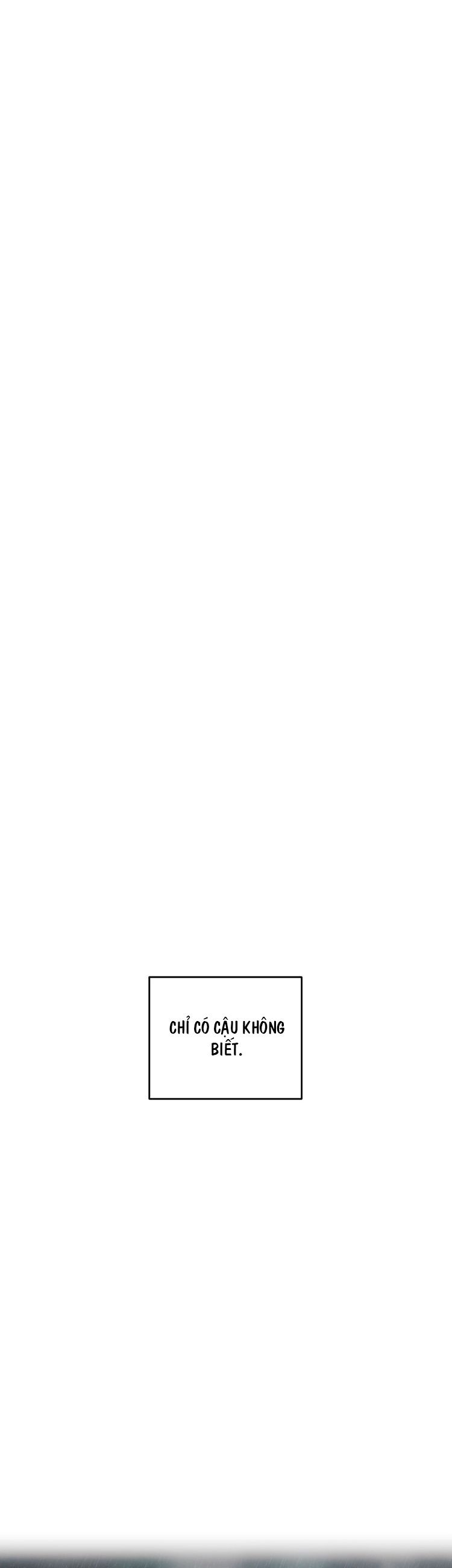 Tương Phùng Chapter 32 - Trang 3