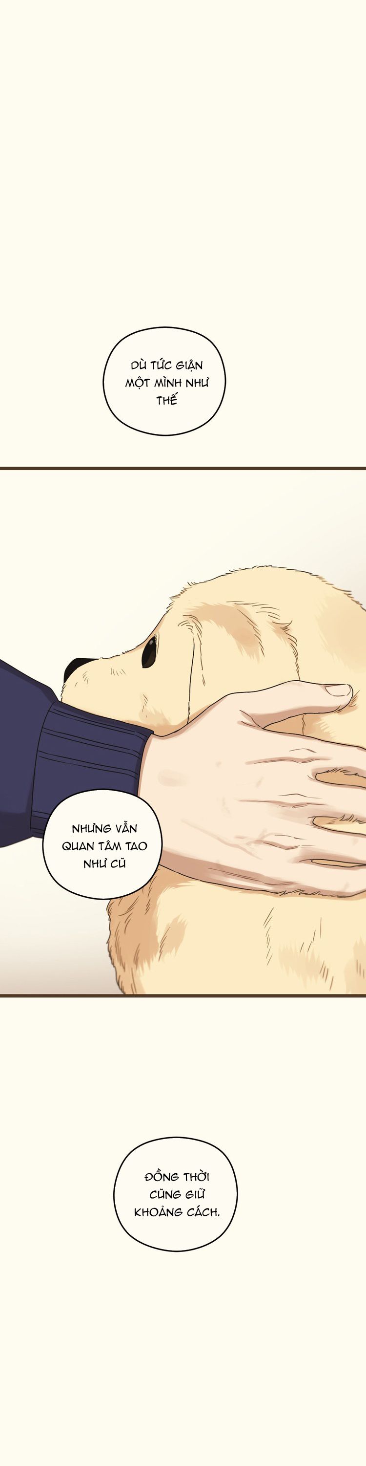 Tương Phùng Chapter 38 - Trang 3