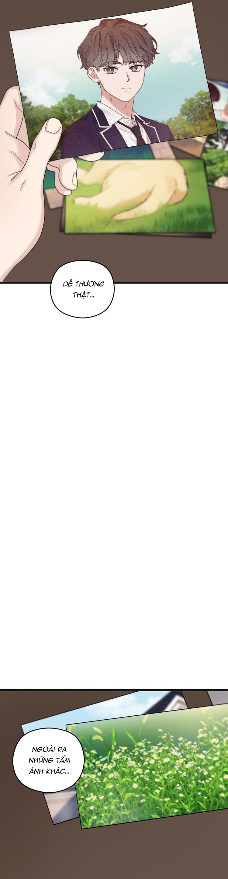 Tương Phùng Chapter 41 - Trang 3