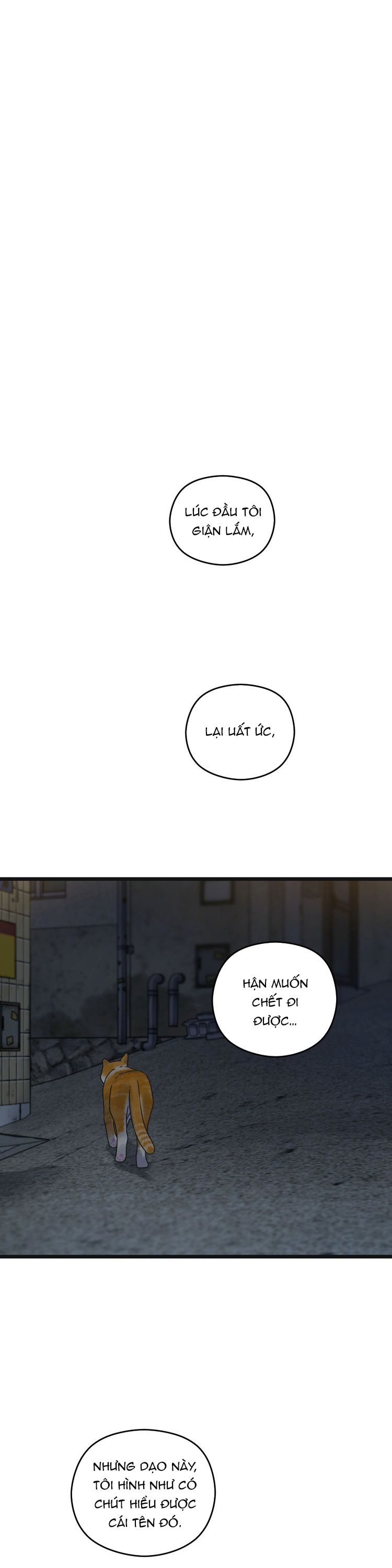 Tương Phùng Chapter 49 - Trang 3