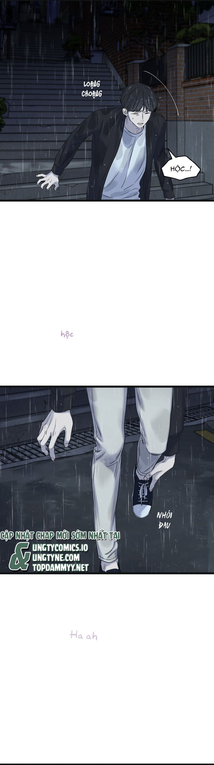 Tương Phùng Chapter 50 - Next Chapter 51