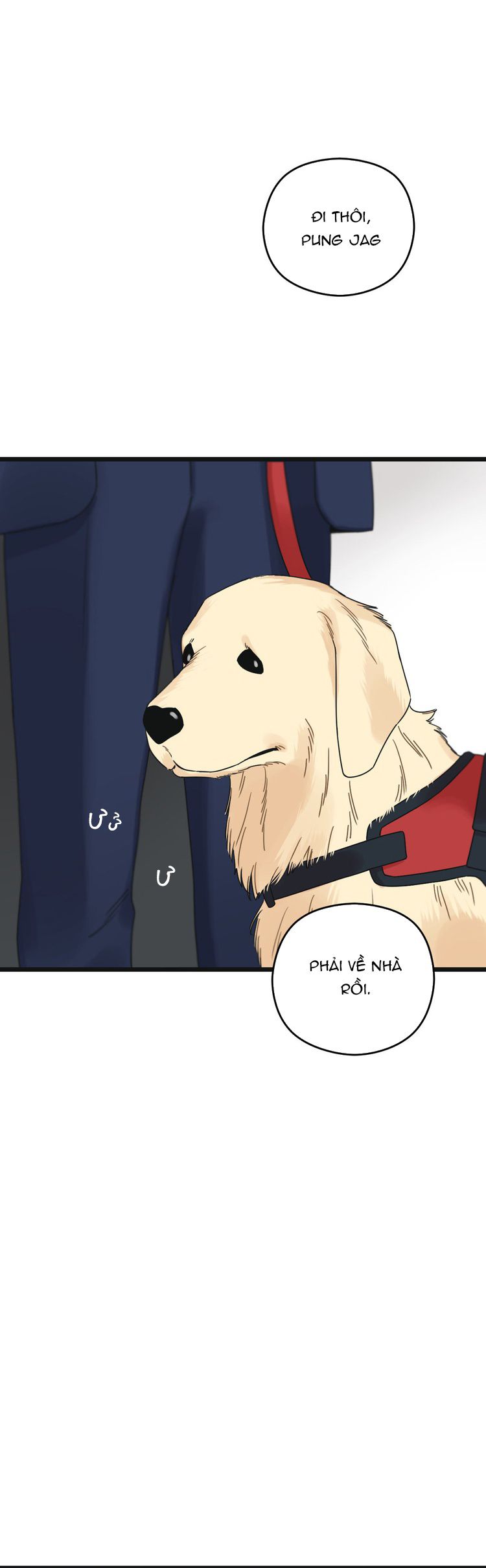 Tương Phùng Chapter 54 - Trang 3