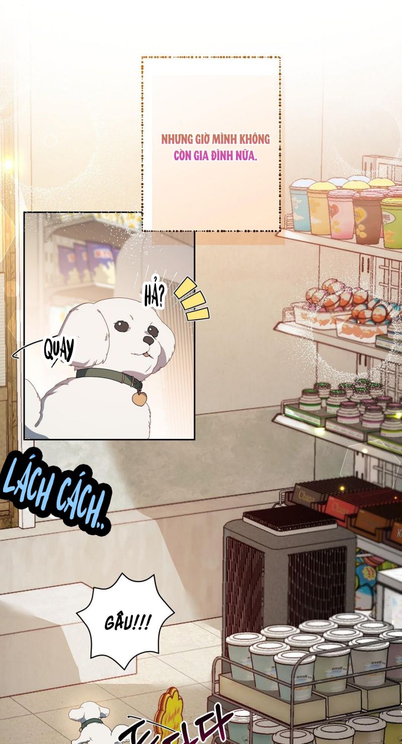 Cherry Cake Chapter 1 - Trang 4