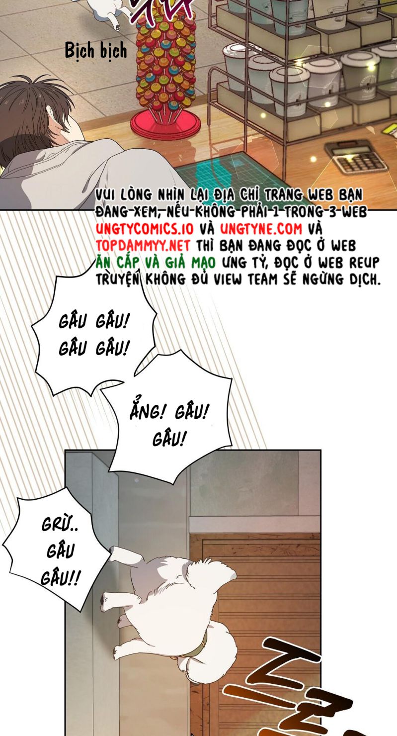 Cherry Cake Chapter 1 - Trang 4