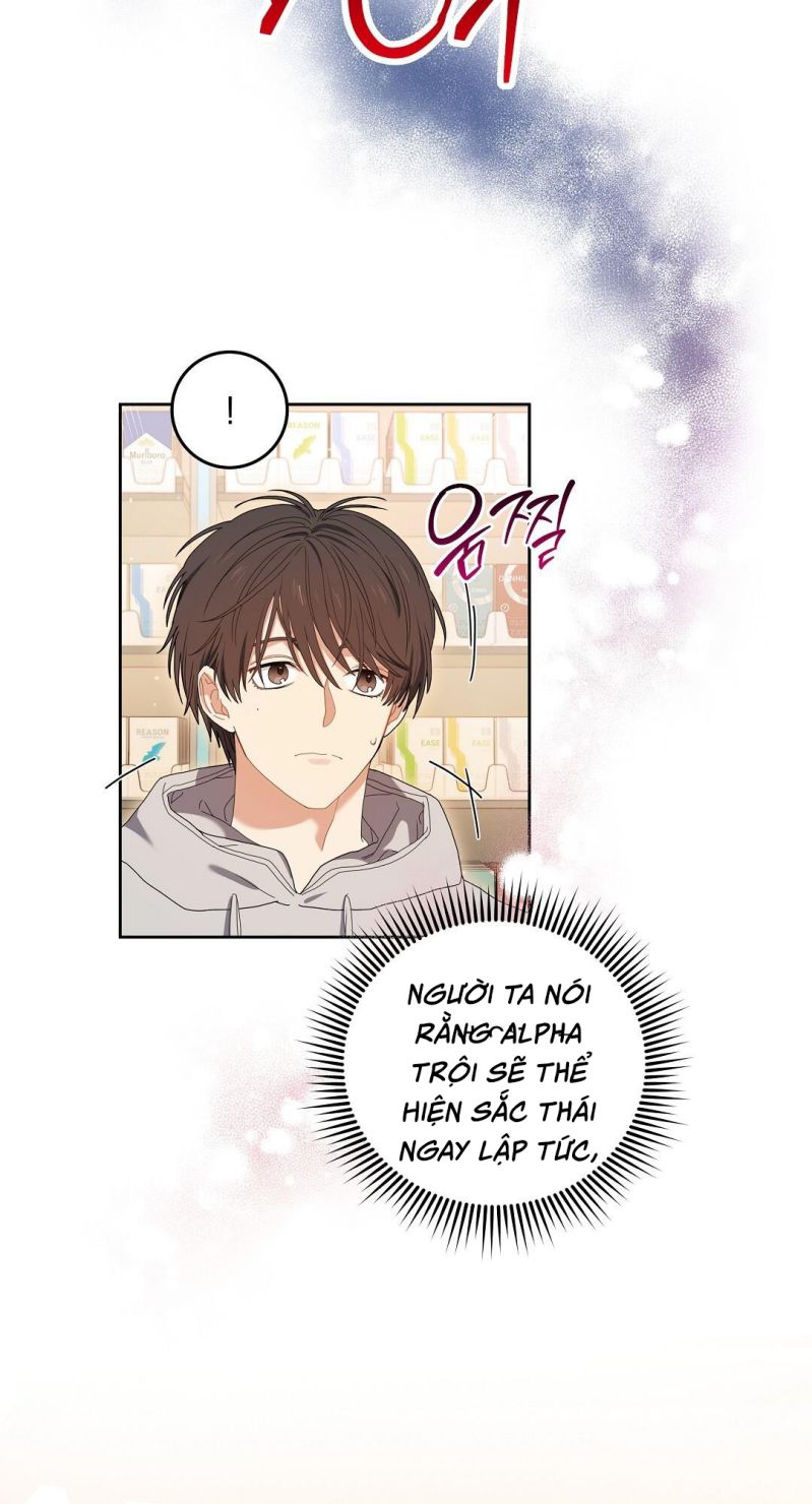 Cherry Cake Chapter 1 - Trang 4