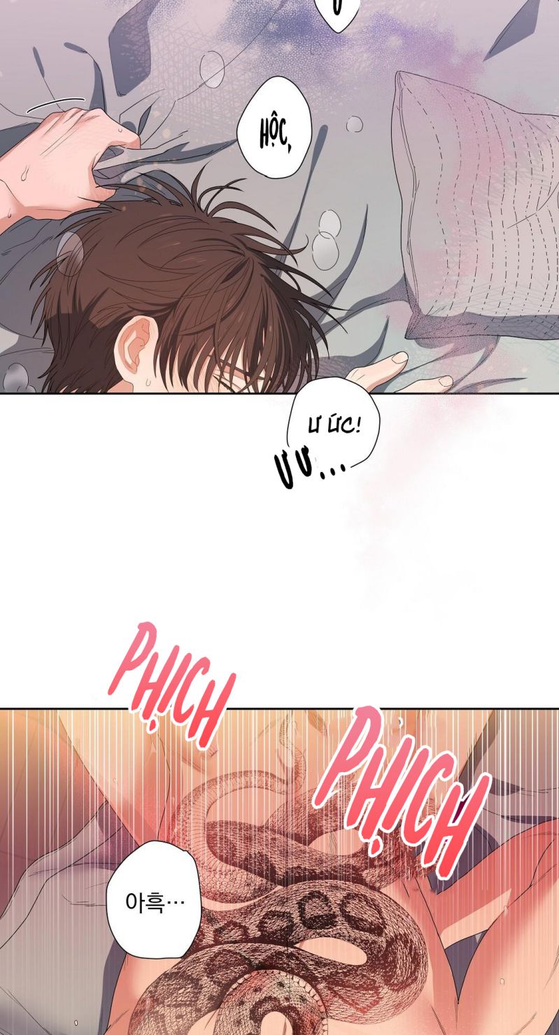 Cherry Cake Chapter 1 - Trang 4