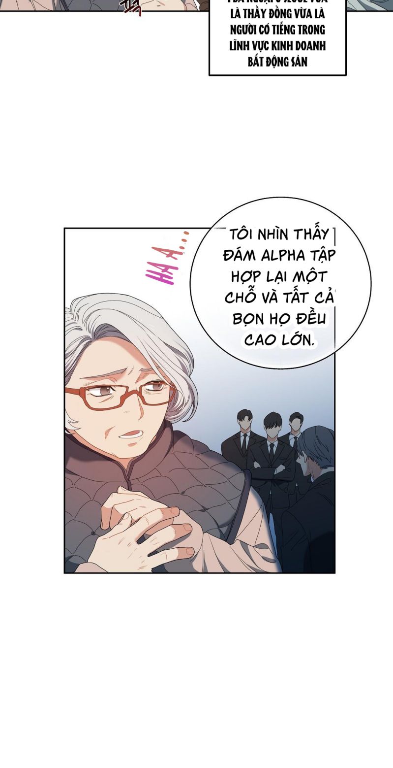 Cherry Cake Chapter 1 - Trang 4