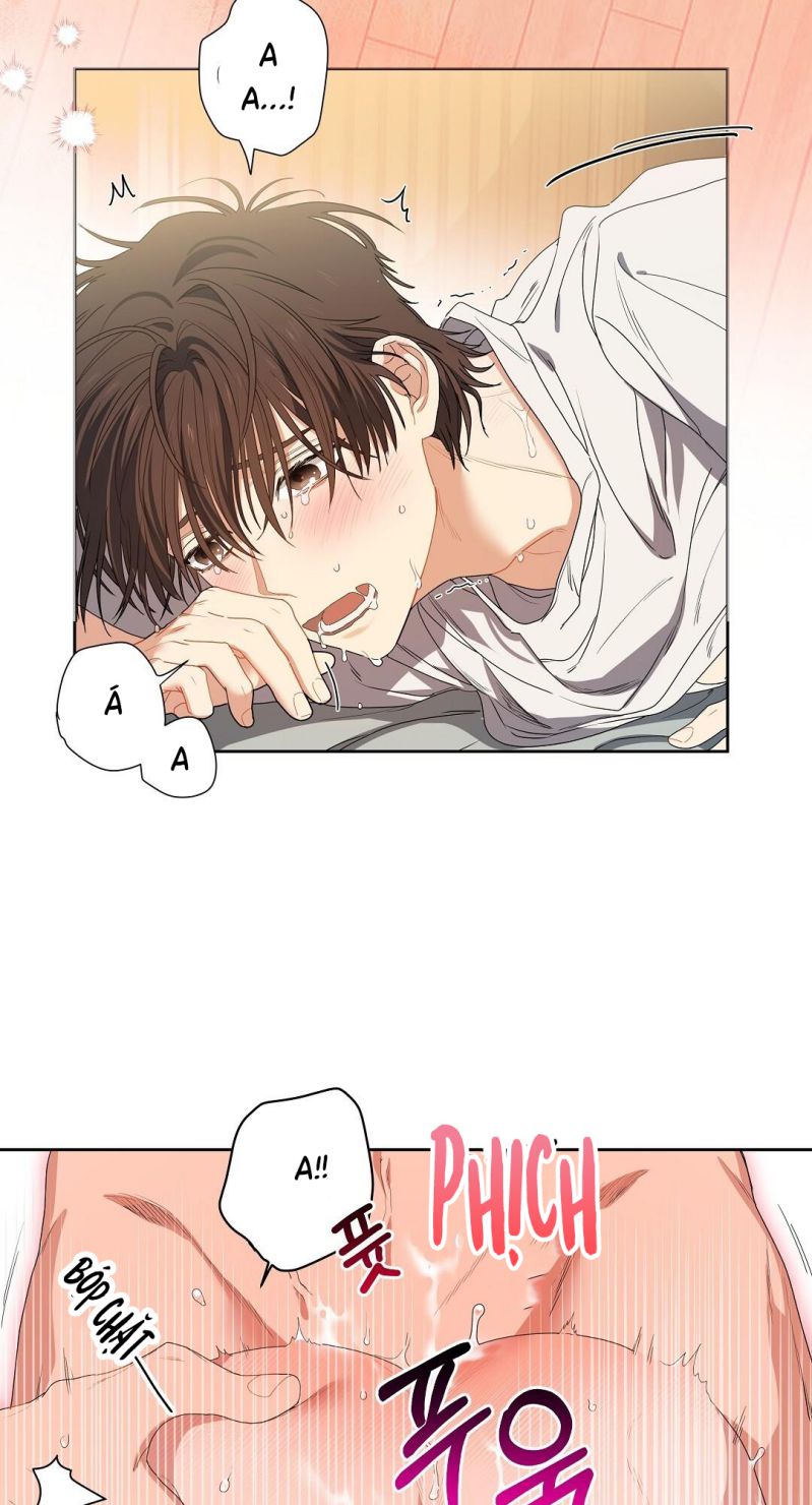 Cherry Cake Chapter 1 - Trang 4