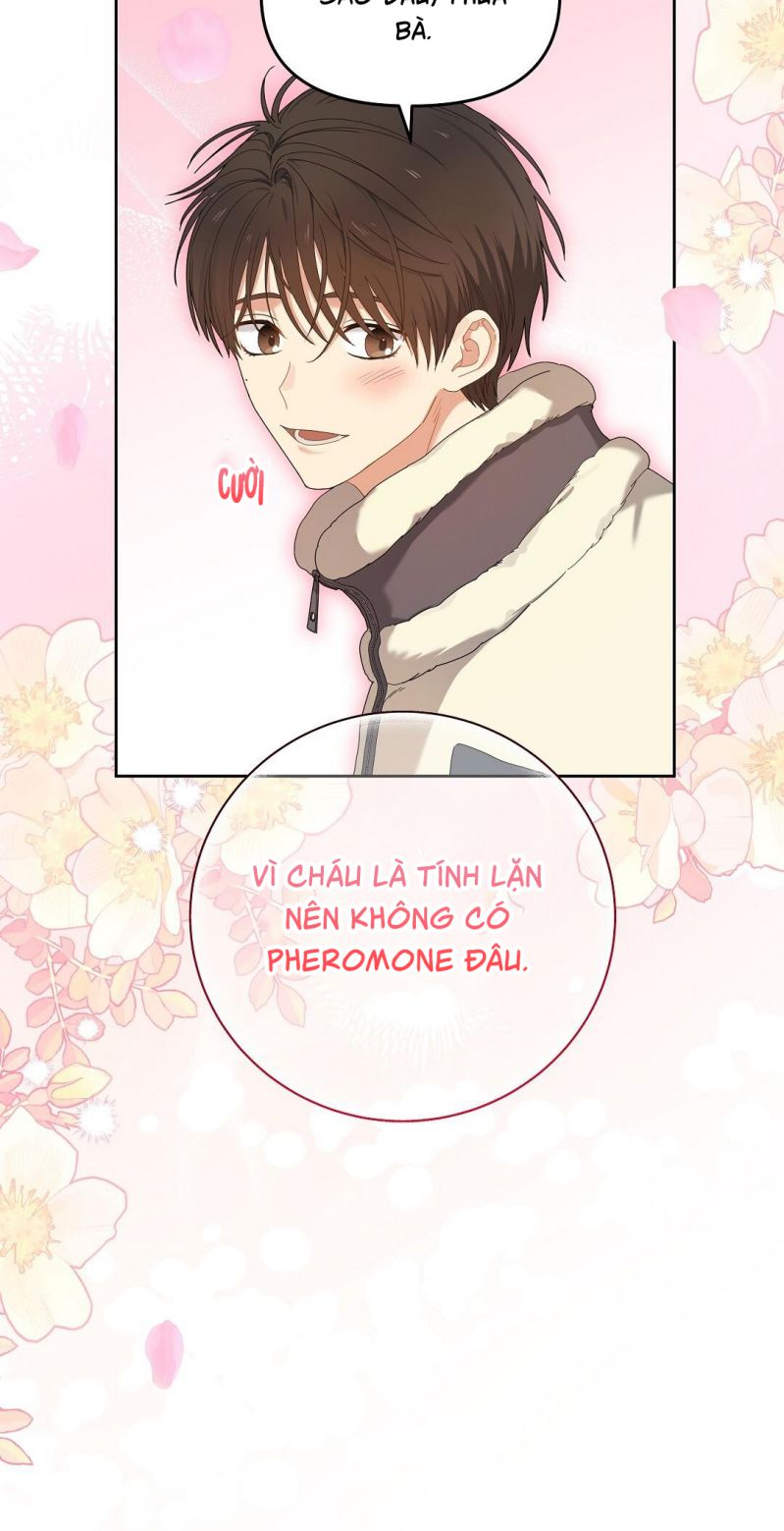 Cherry Cake Chapter 1 - Trang 4