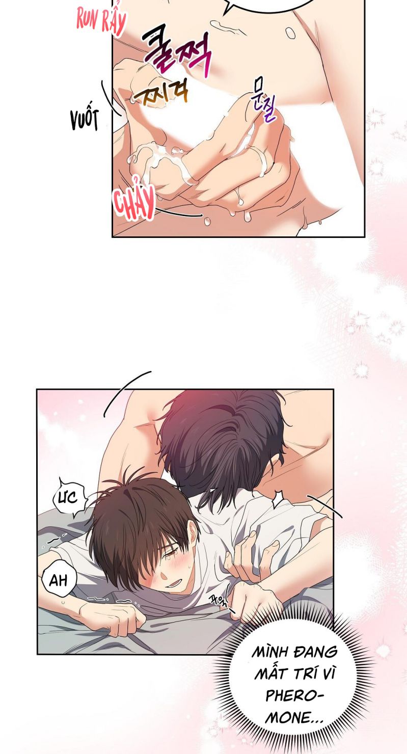 Cherry Cake Chapter 1 - Trang 4