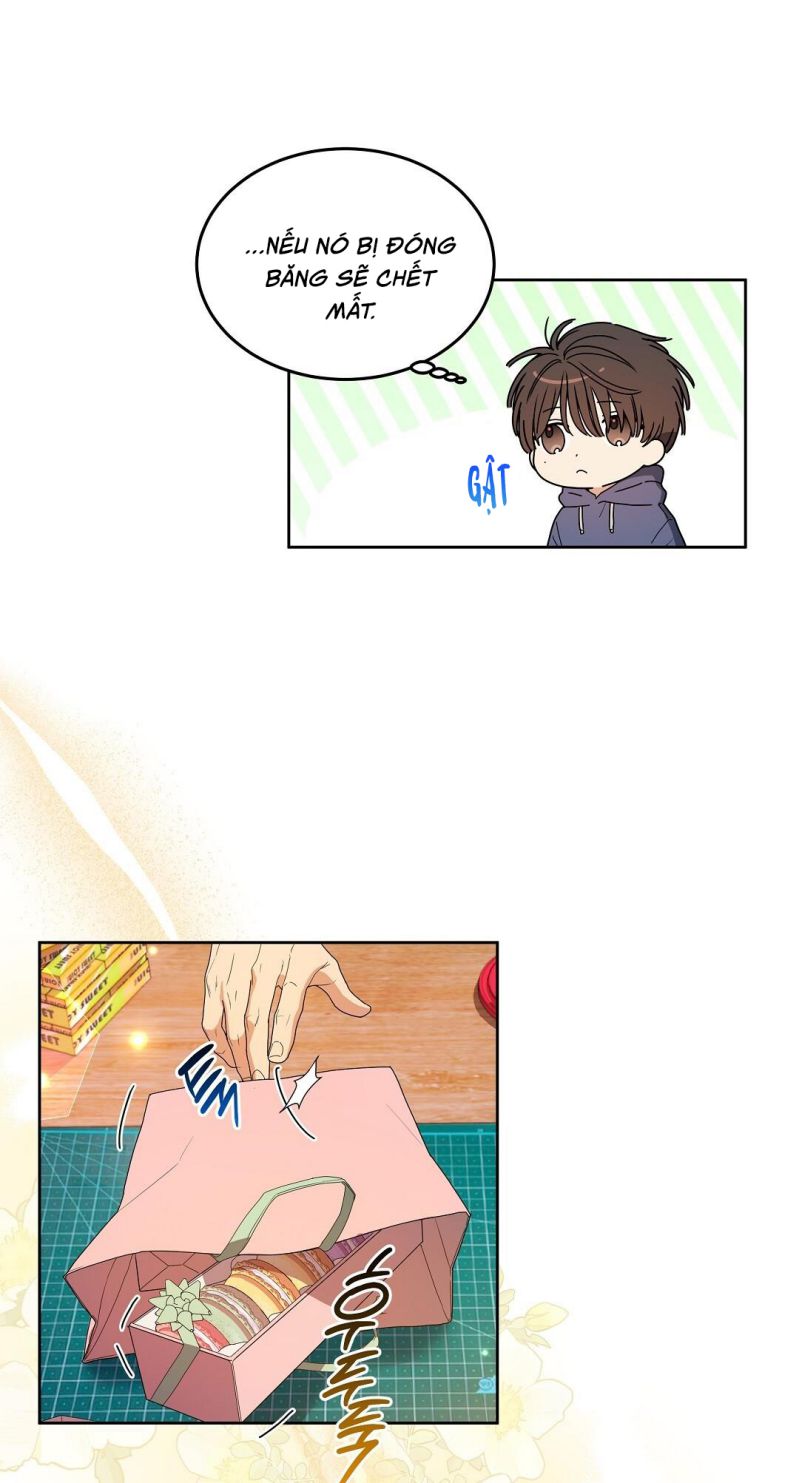 Cherry Cake Chapter 3 - Trang 4