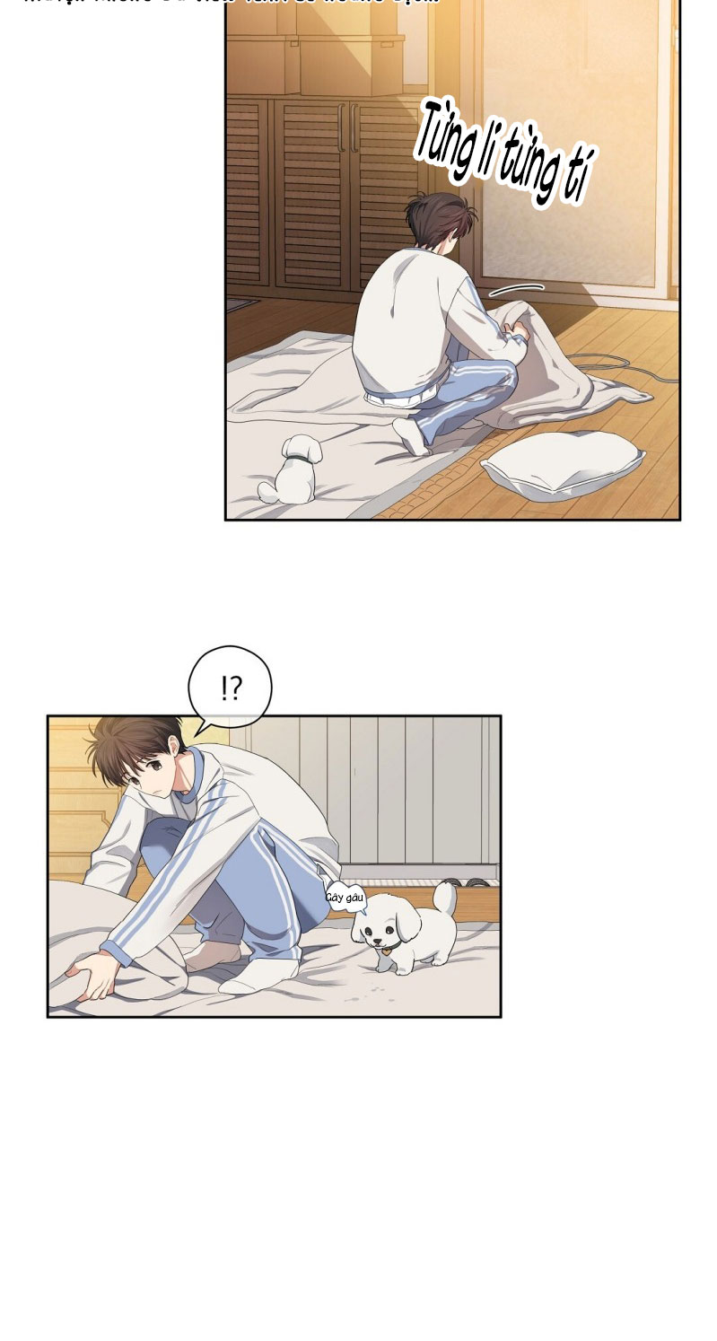 Cherry Cake Chapter 11 - Trang 4