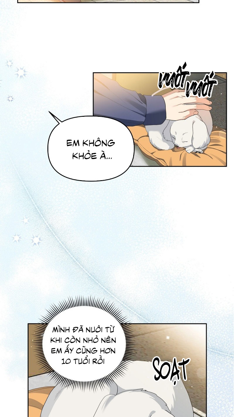 Cherry Cake Chapter 12 - Next Chapter 13