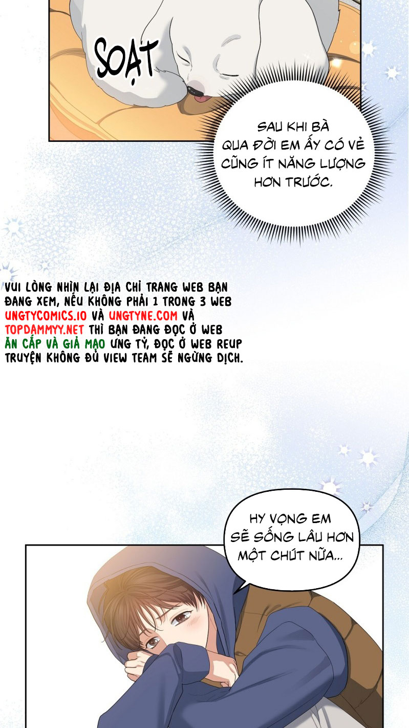 Cherry Cake Chapter 12 - Next Chapter 13