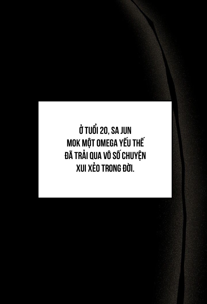 Công Chúa, Xin Hãy Lấy Đi Nỗi Bất Hạnh Của Tôi Chap 2 - Trang 2