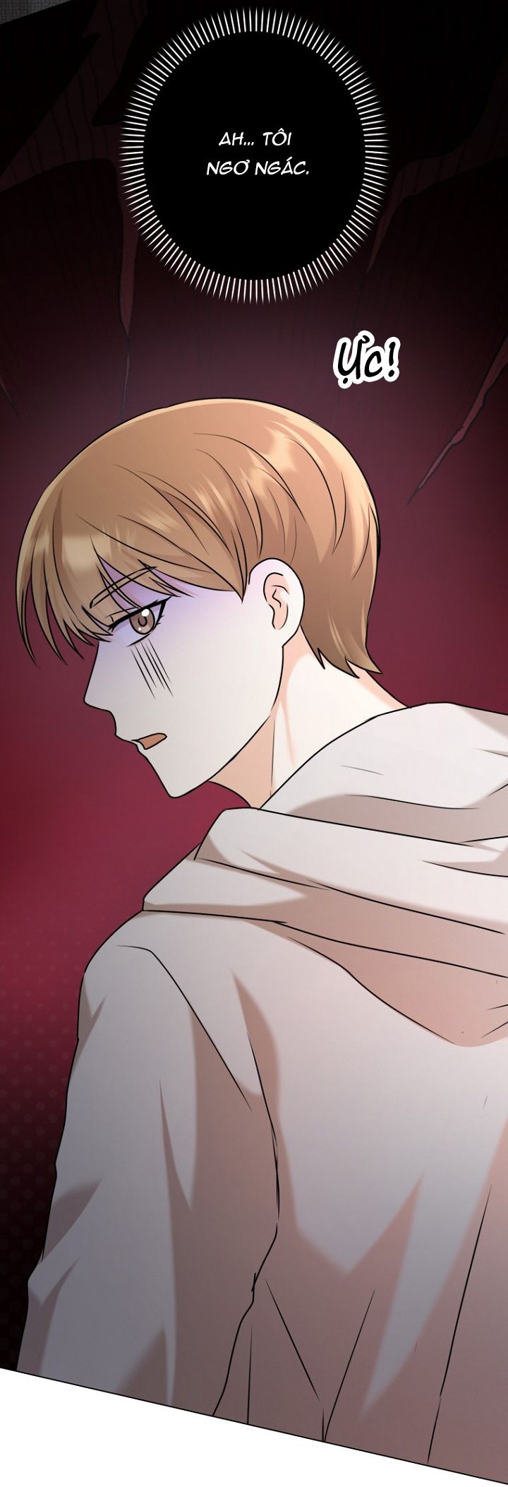 Công Chúa, Xin Hãy Lấy Đi Nỗi Bất Hạnh Của Tôi Chap 2 - Trang 2