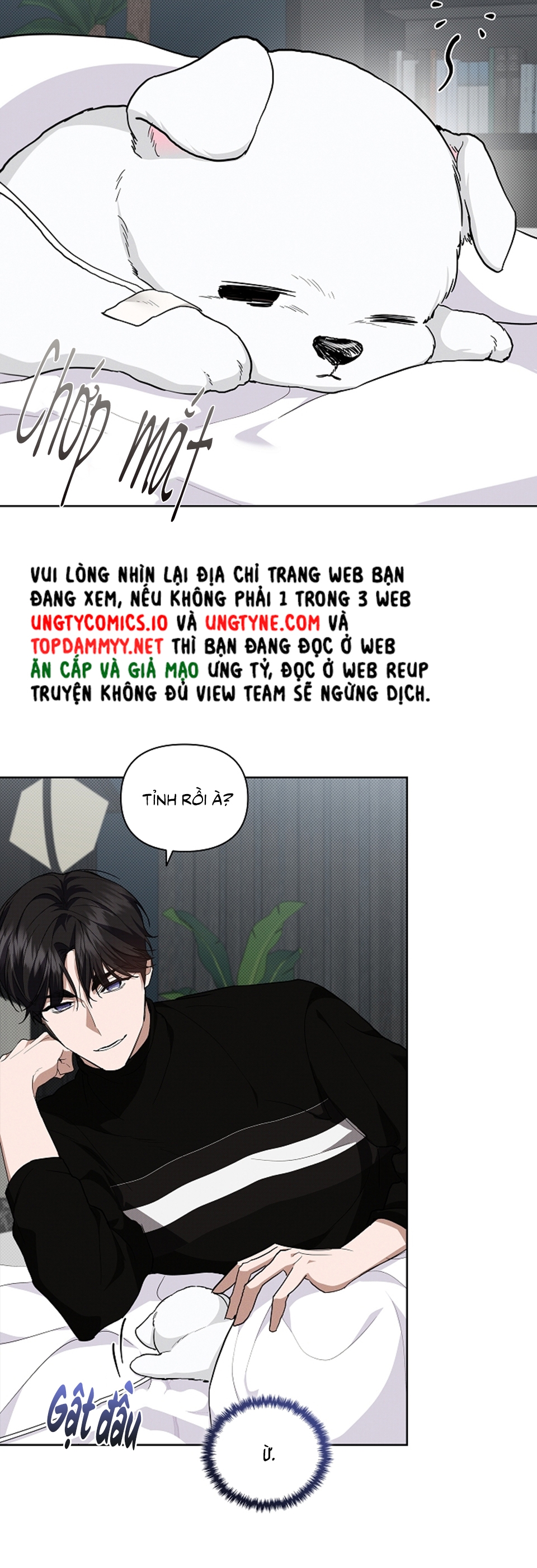 ĐỪNG CHẠM VÀO CÚN CON CỦA TÔI Chap 17 - Trang 4