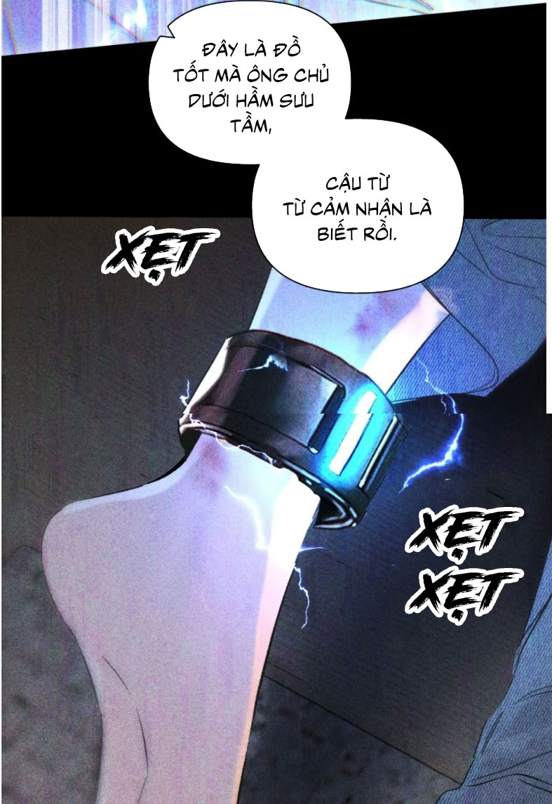 Chạy Trốn Khỏi Tầng Hầm Chap 5 - Trang 4