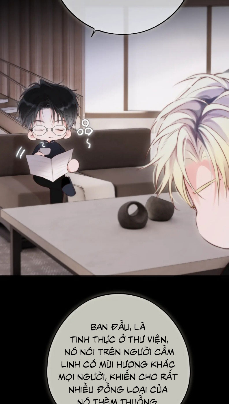 Hoặc Tinh Chi Mục Chapter 12 - Next Chapter 13