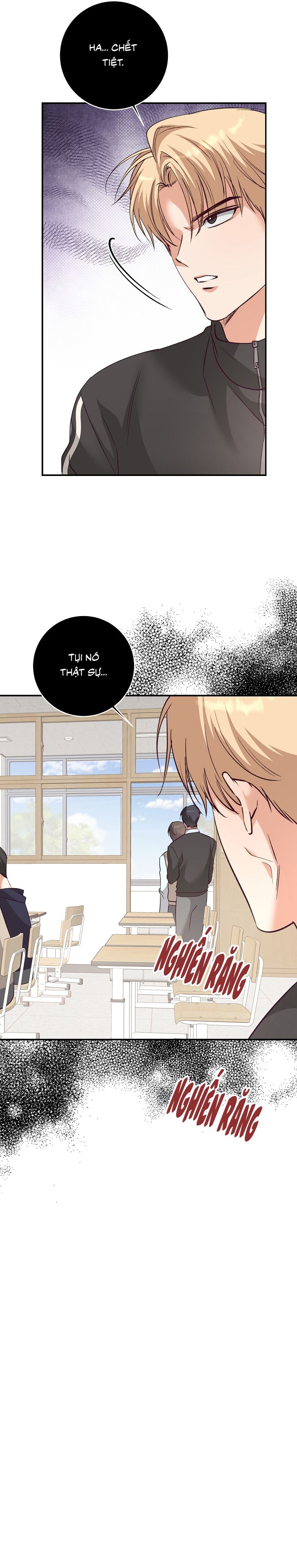 Nhật Ký Quan Sát Bồ Công Anh Chap 12 - Next Chap 13