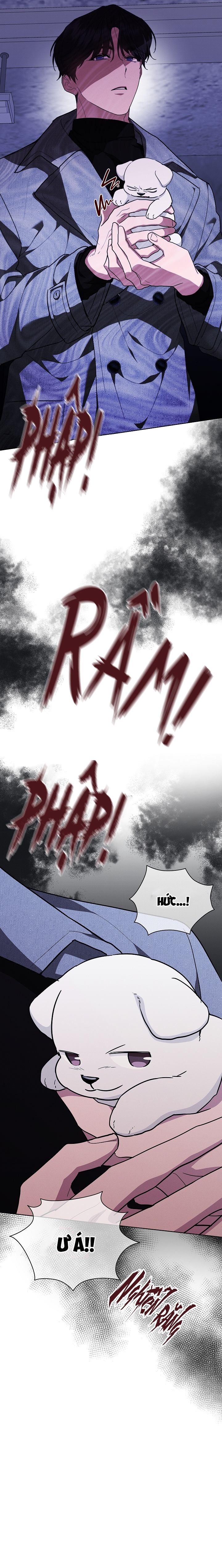 ĐỪNG CHẠM VÀO CÚN CON CỦA TÔI Chap 18 - Trang 4