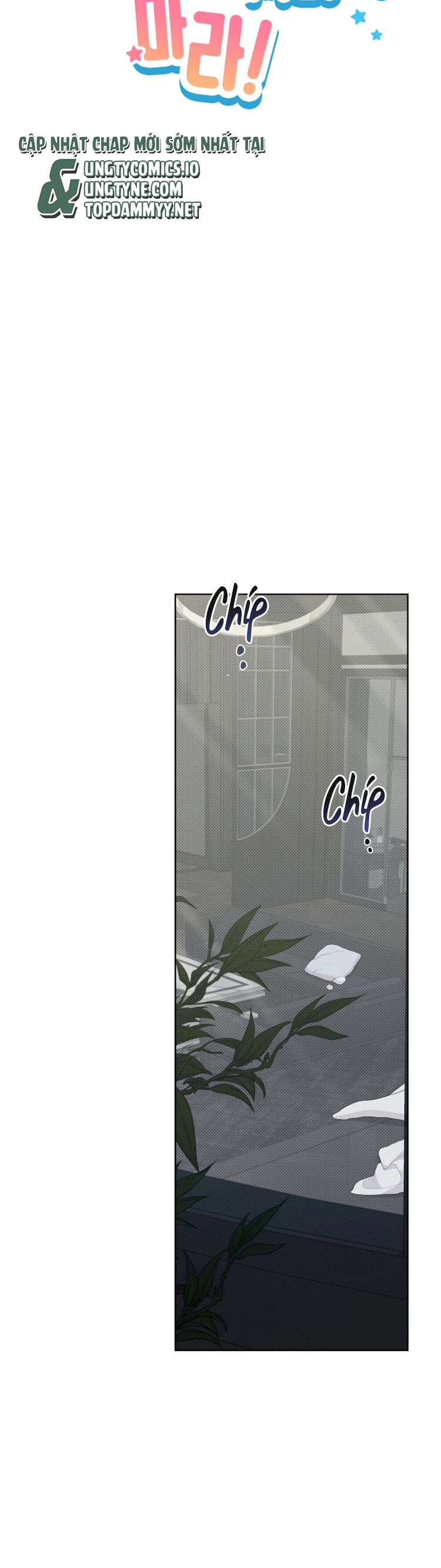 ĐỪNG CHẠM VÀO CÚN CON CỦA TÔI Chap 19 - Trang 4