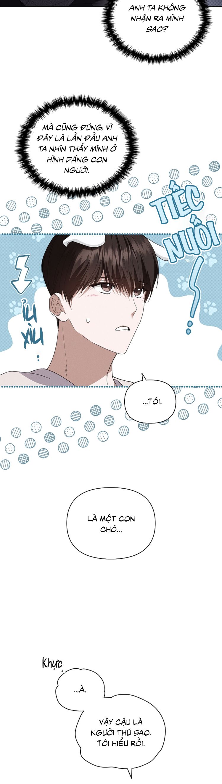 ĐỪNG CHẠM VÀO CÚN CON CỦA TÔI Chap 19 - Trang 4