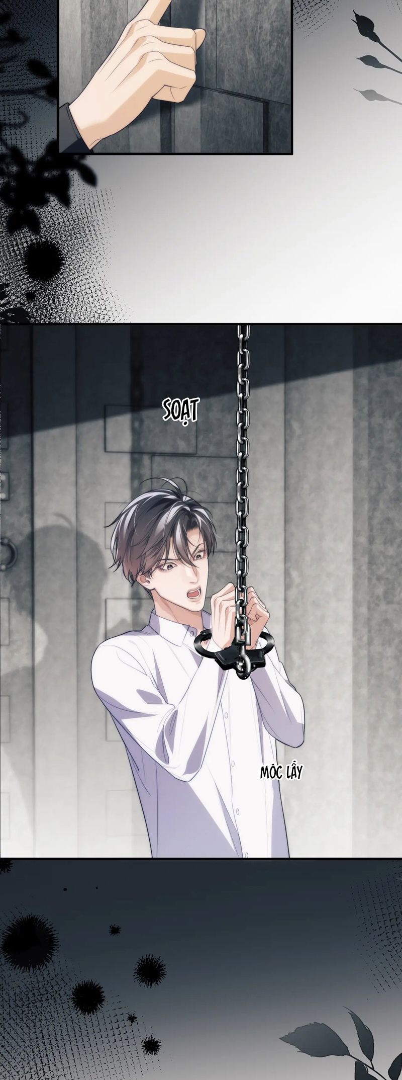 Desharow Nhân Ngư Chapter 72 - Trang 4